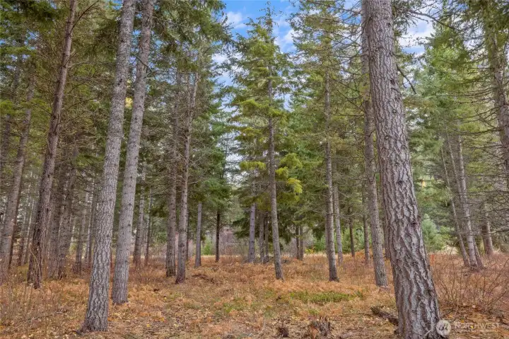 Welcome to 230 Goat Creek Lane