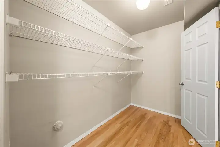 Walk-in closet off the lower level bedroom.