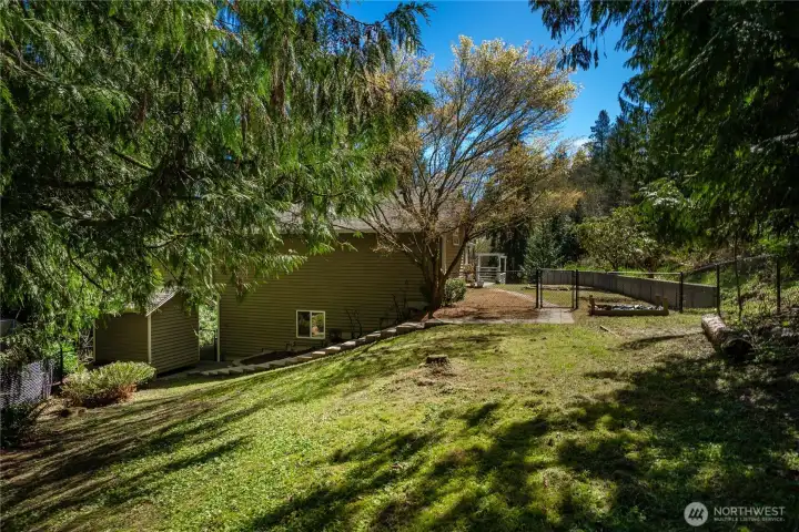Private outdoor oasis surrounded by evergreens.