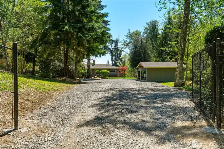Long private driveway leading to secluded acreage property surrounded by towering trees and natural Pacific Northwest beauty.