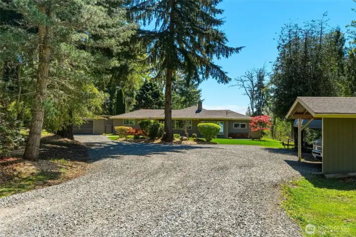Expansive gravel driveway with ample parking, showcasing privacy and space ideal for RVs, guests, and multiple vehicles.