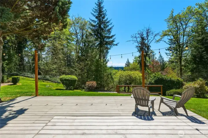 Private backyard patio area surrounded by mature trees, perfect for relaxing or entertaining outdoors.