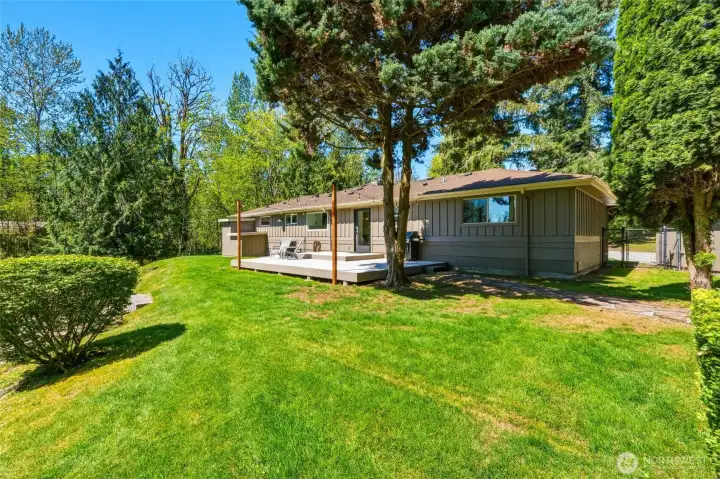 Expansive backyard with open green space, ideal for gardening, recreation, or future outdoor enhancements.