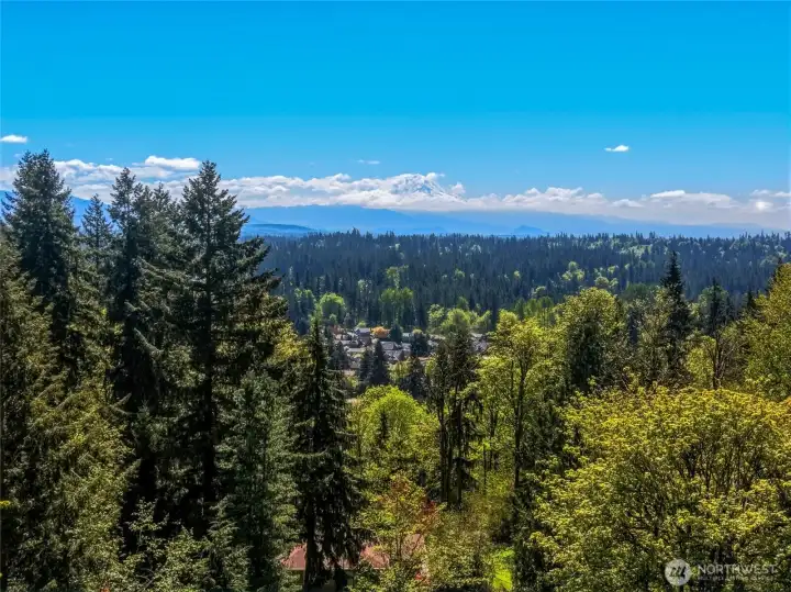 Breathtaking territorial and mountain views, capturing the natural beauty and serenity of Maple Valley living.