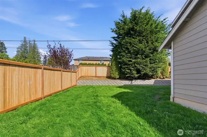 Side yard