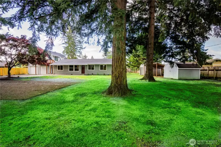 WOODED AND PRIVATE...FEELS COUNTRY BUT YOU'RE A MILE AND A HALF FROM DOWNTOWN YELM WOODED AND PRIVATE...FEELS COUNTRY BUT YOU'RE A MILE AND A HALF FROM DOWNTOWN YELM
