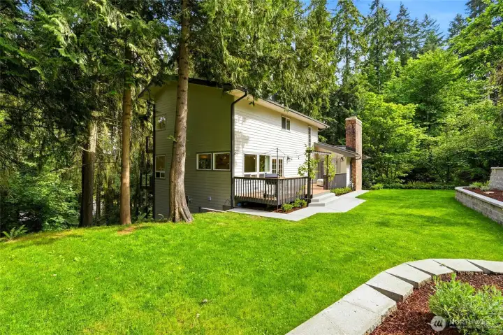 Backyard Backyard