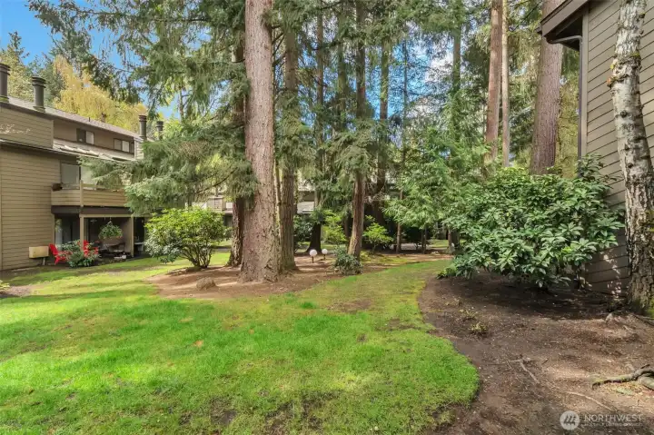 View of grounds from back patio.