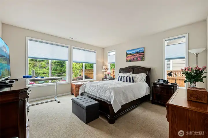 Primary Bedroom, Look at All That Natural Light!