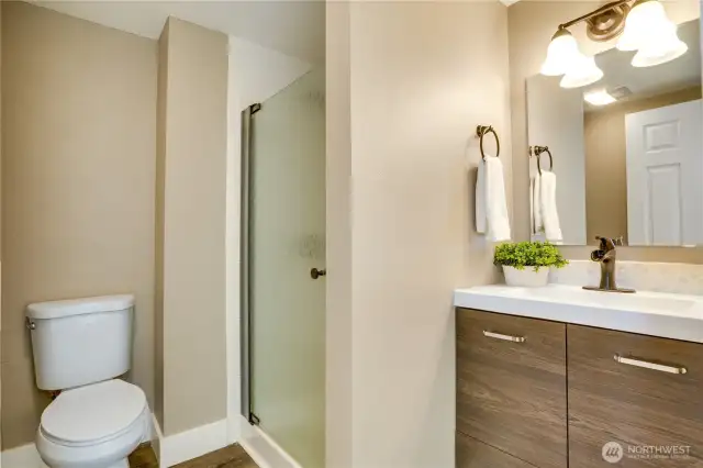 A walk-in shower with glass door, a newer vanity, and refreshed lighting completes the lower-level space.