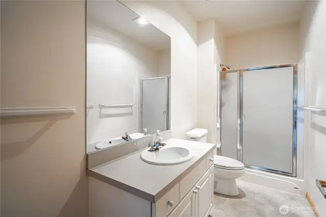 Lower level bathroom
