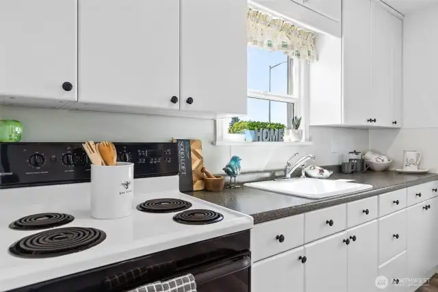 Kitchen recently updated~