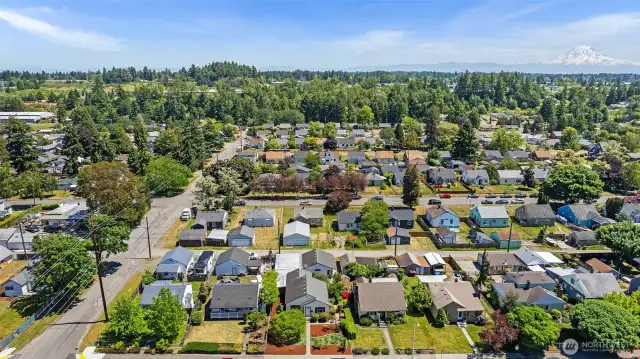 Aerial View of Home in the heart of Tacoma with Mt Rainier in the background~