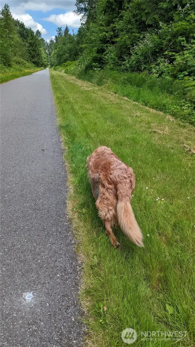 The Preserve provides private access to The Centennial Trail. Enjoy miles and miles of trails for fitness and fun! Your dog will thank you.
