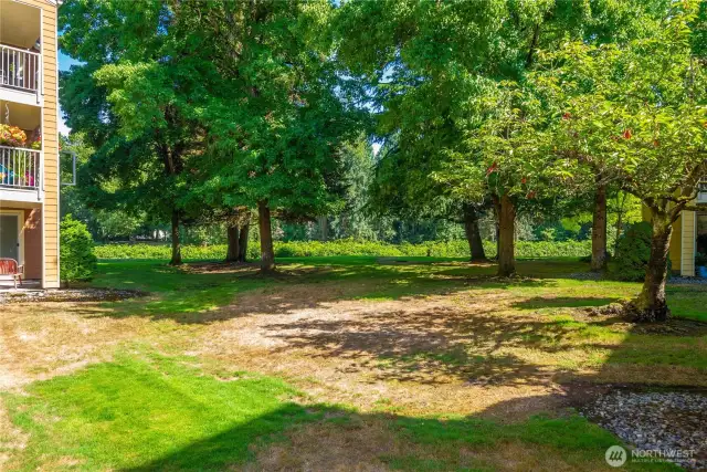 Court yard with River trail behind.