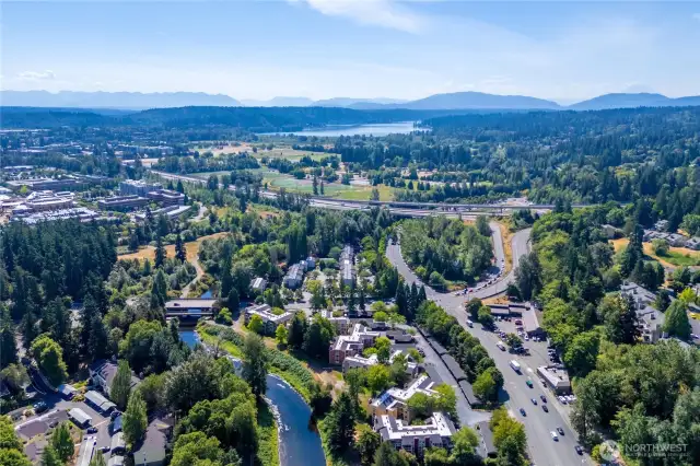 Looking south at Complex with Redmond Town center and Lake Sammamish above.