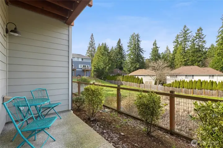 Patio accessible from lower level bedroom