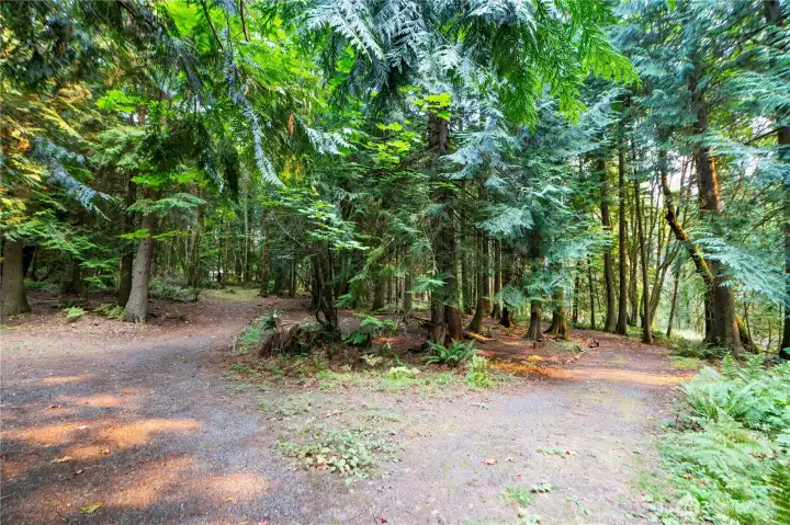 Your Natural Land