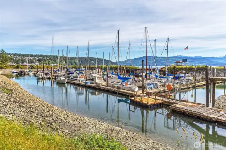 Cape George has it's own marina. There are 2 fish cleaning stations and 2 shellfish cooking areas down at the marina.