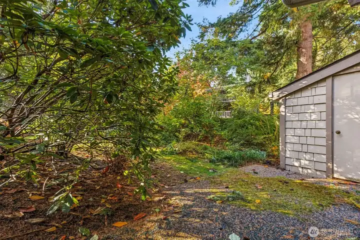 Uncovered patio area with storage