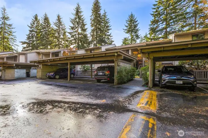 Covered 1 parking space