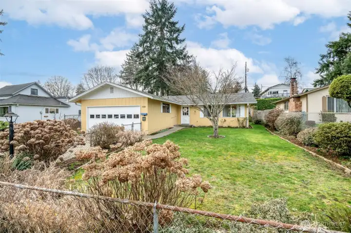 Healthy hydrangeas, marvelous maple tree- a green thumb's delight!