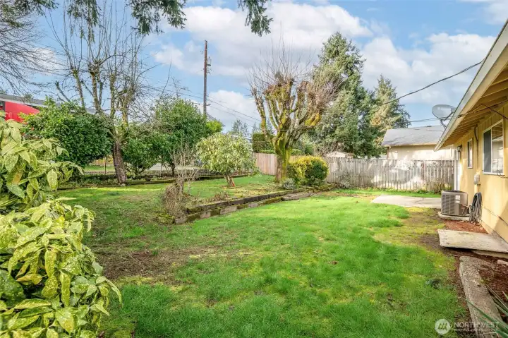 Deep and wide backyard with some shade from established trees.