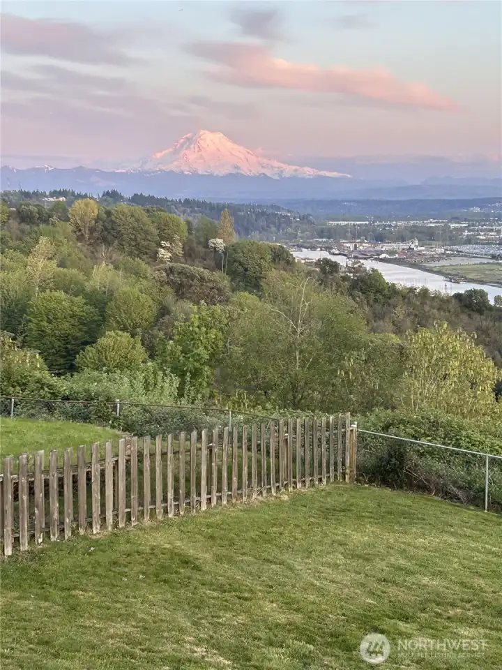 Sunset Casts a Beautiful Shade over Mt Rainier & Private Yard Space