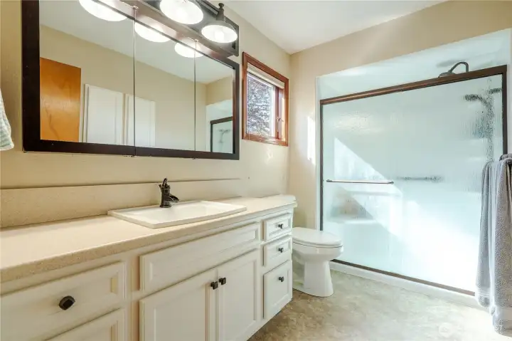 Primary bathroom with large alcove shower