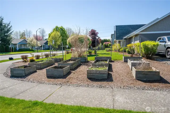 Twelve raised bed cedar gardens installed at east end of the front yard. Each bed has its own faucet and is also set up on the irrigation system. Grow your own vegetable and flowers. Gardeners paradise.