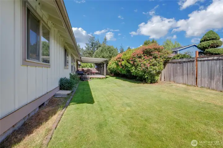 Level fenced backyard