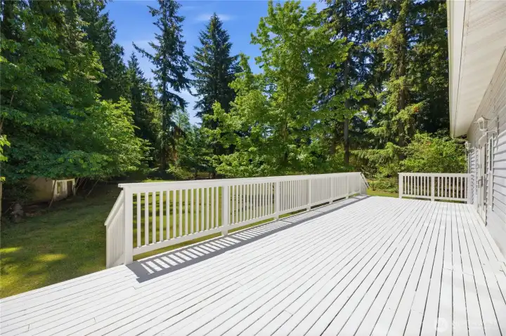 ~Large Back Deck~
