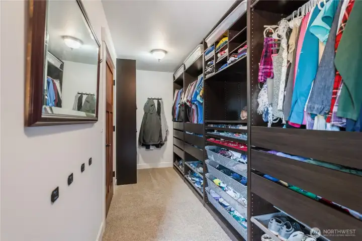 walk in closet with built ins