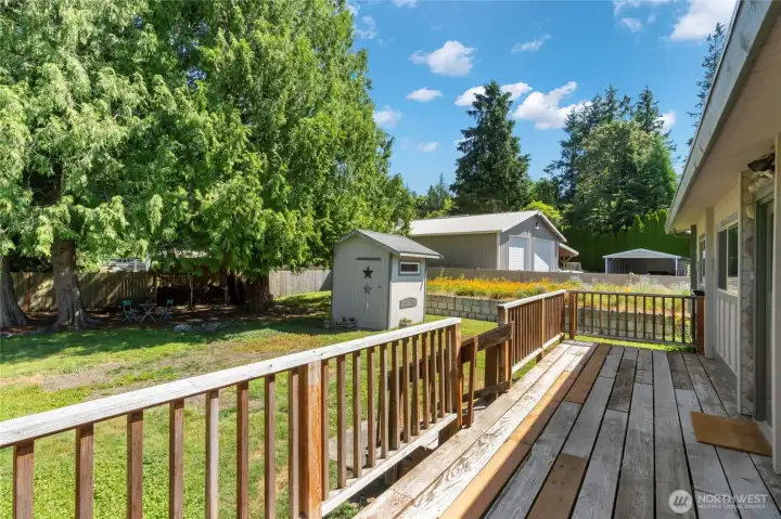 Back deck Back deck