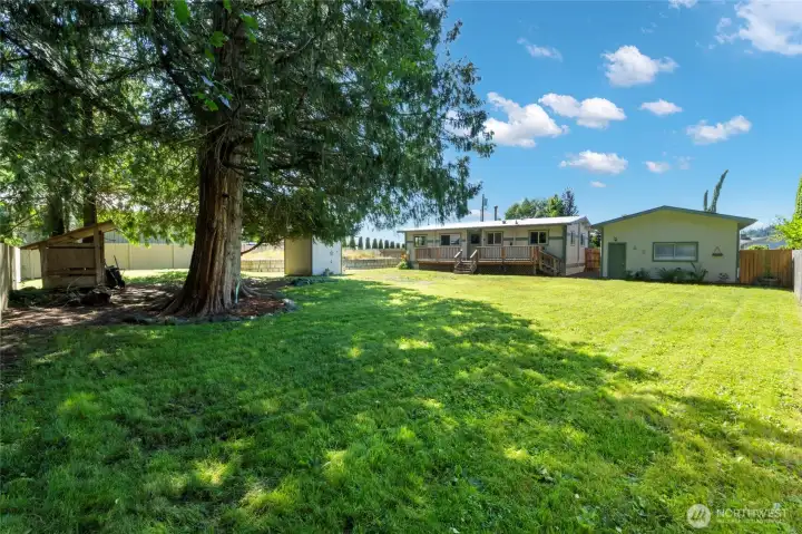 Large back yard Large back yard