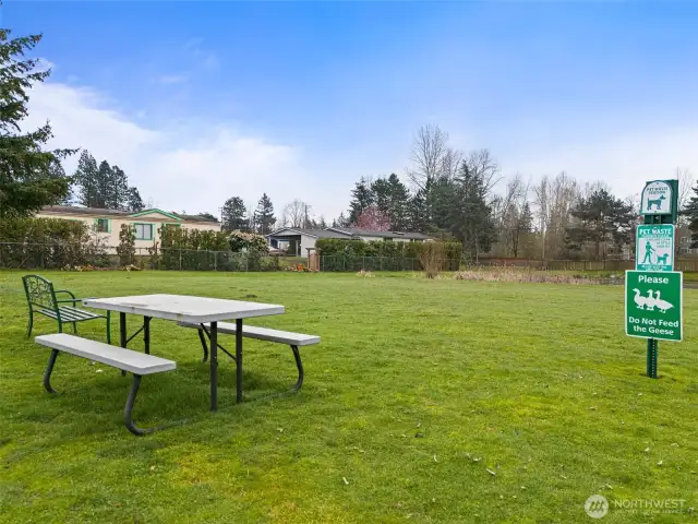 Picnic area to gather with your neighbors and maybe have a puppy playdate.  Please do not feed the geese!