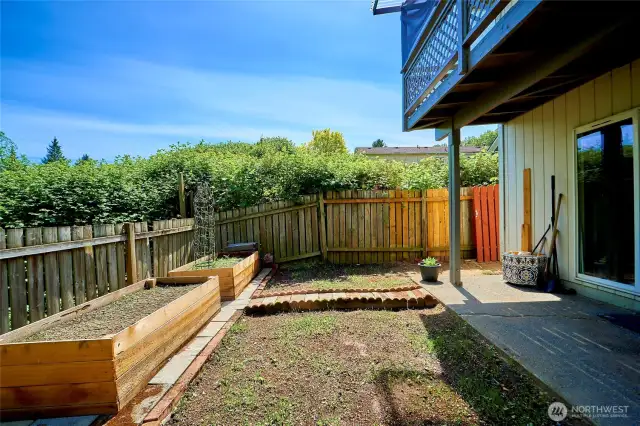 Back Yard W/ Garden Area