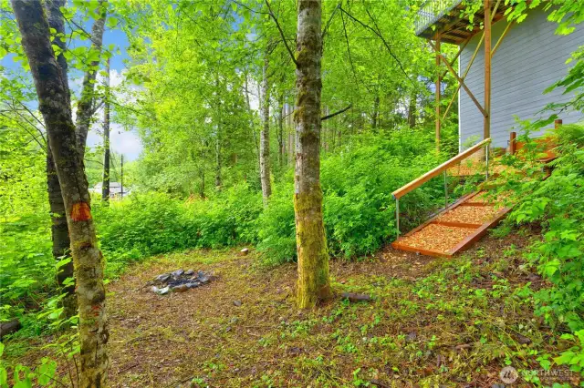 Ready to taost some marshmallows in backyard?