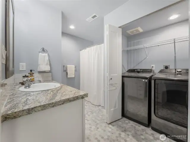 Lower Level Bathroom
