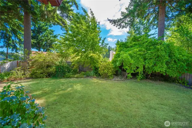 Another view of the nicely screened private backyard.