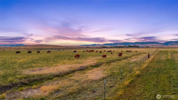 Plenty of acreage for recreation, hunting, farming, building etc.