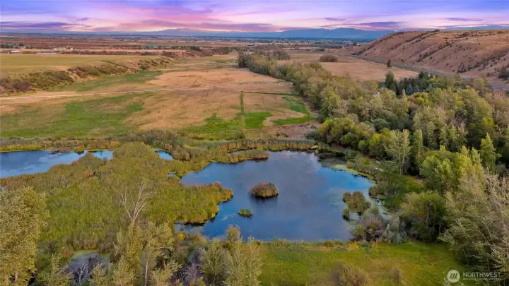 95.8 acres of land, perfect for hunting, wildlife, livestock. 79 irrigable acres and high-quality alfalfa and orchard grass. Lease for hay or use for your animals. Runoff to pond can be used for sprinklers in the yard