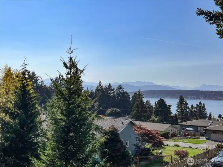 One aspect of the view from the back deck.