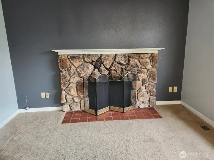 The fire place we were told it needed a new liner.