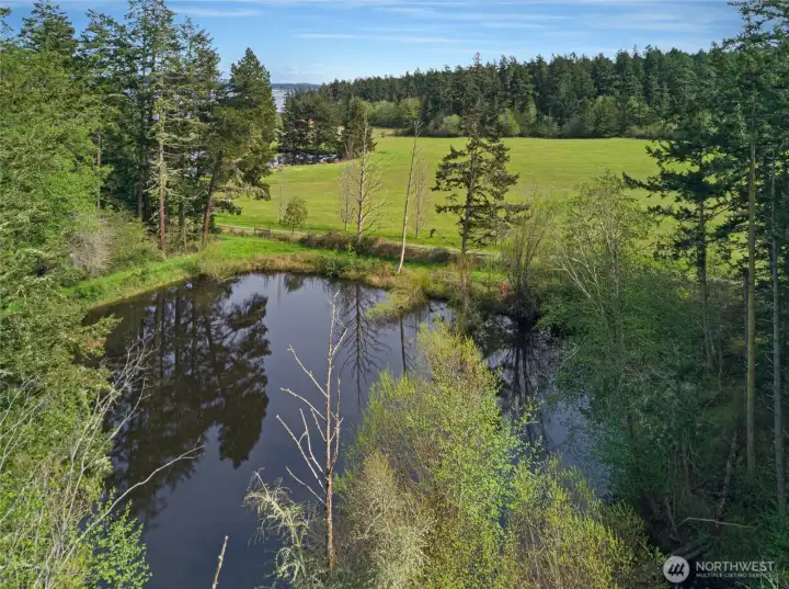 One of Three Ponds