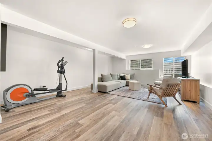 Entry level family room