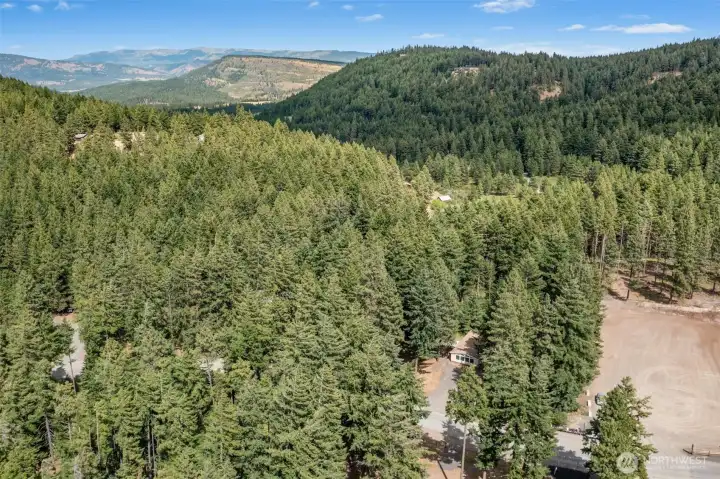 Going to Love it Here