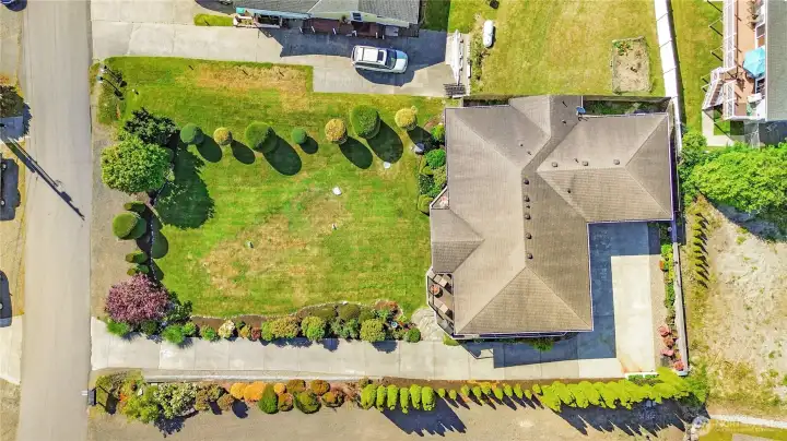 Aerial shot of the lot