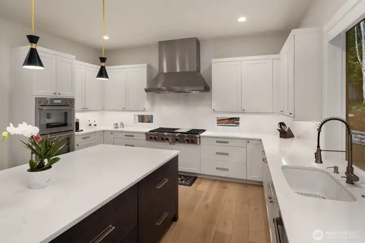 Wolf Hood and Cooktop