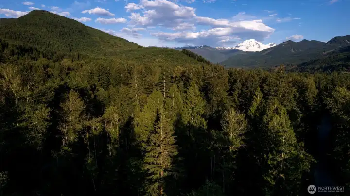 Mt. Baker looms in the distance